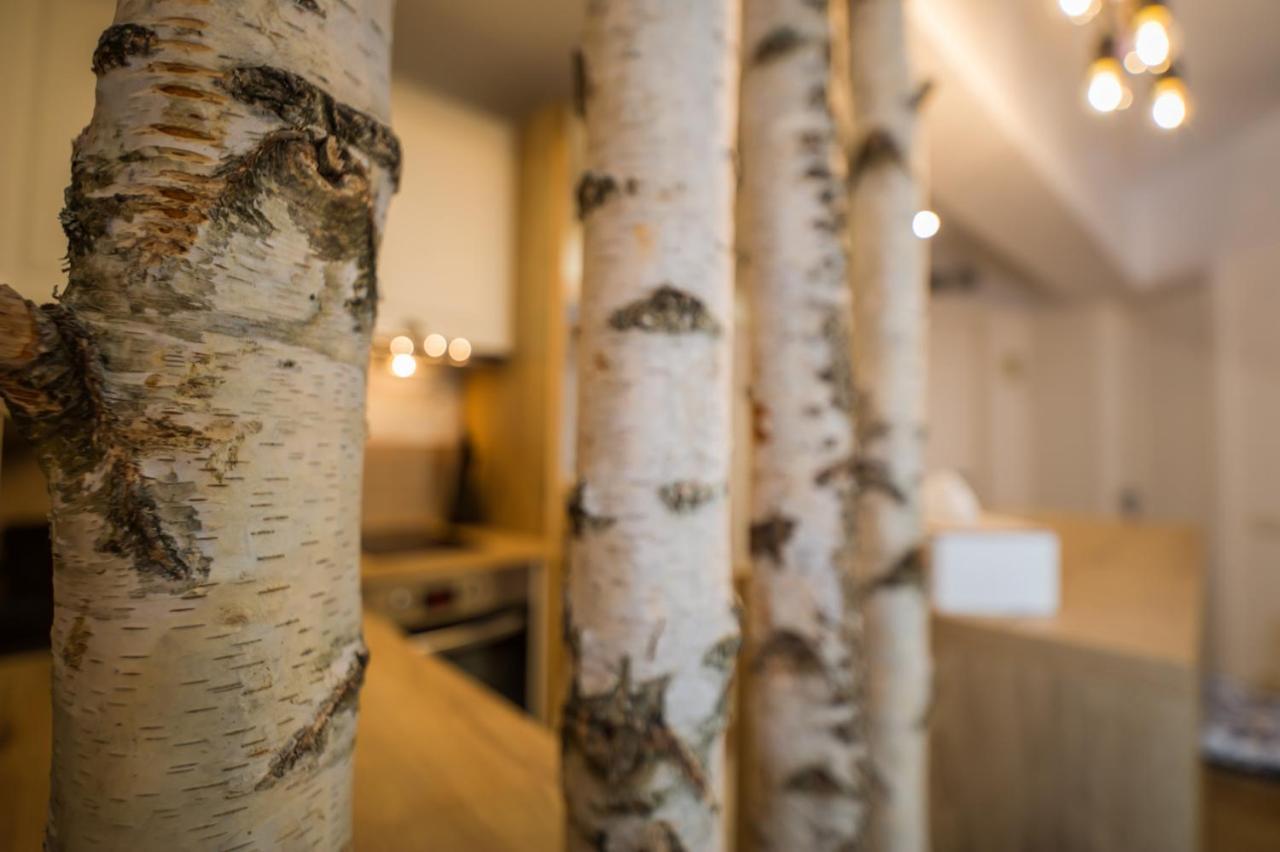 Zen Alpin Studio Lejlighed Braşov Eksteriør billede